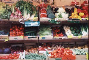 legumes01.JPG (38238 octets)